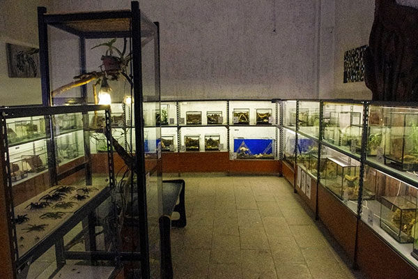 Из Минска в Плангу