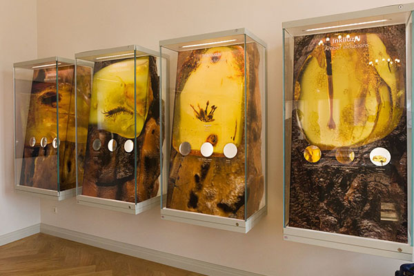 Из Минска в Плангу